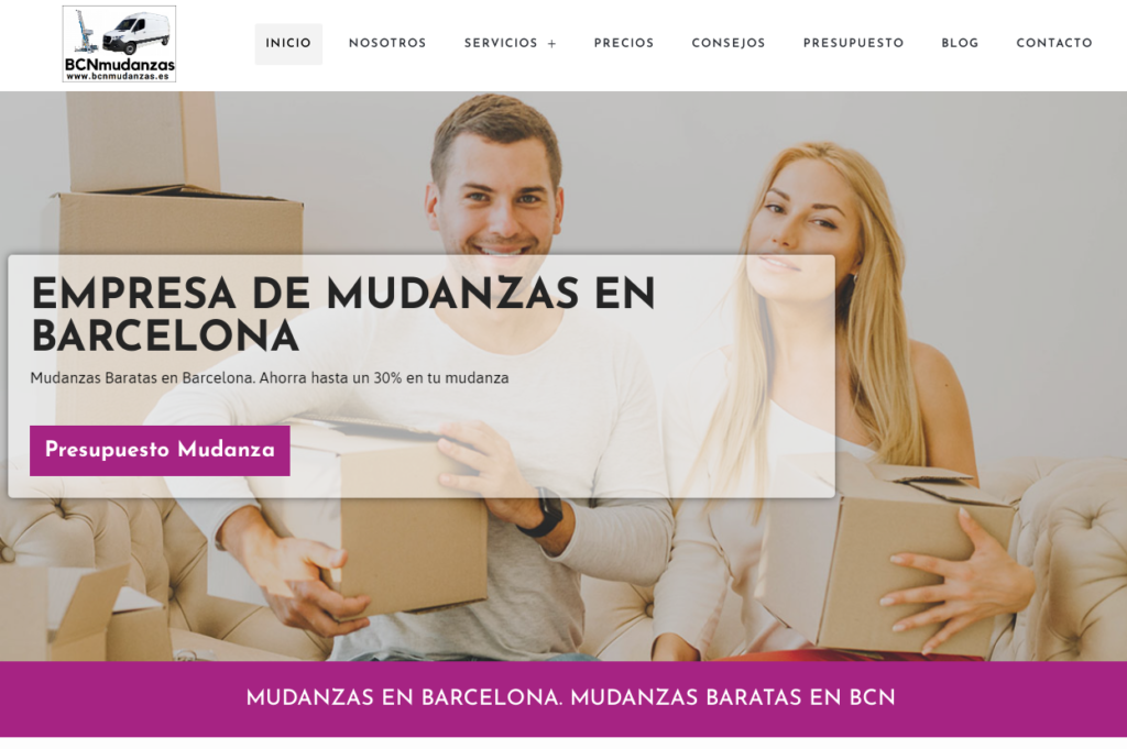 web wordpress